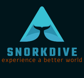 snorkdive.com