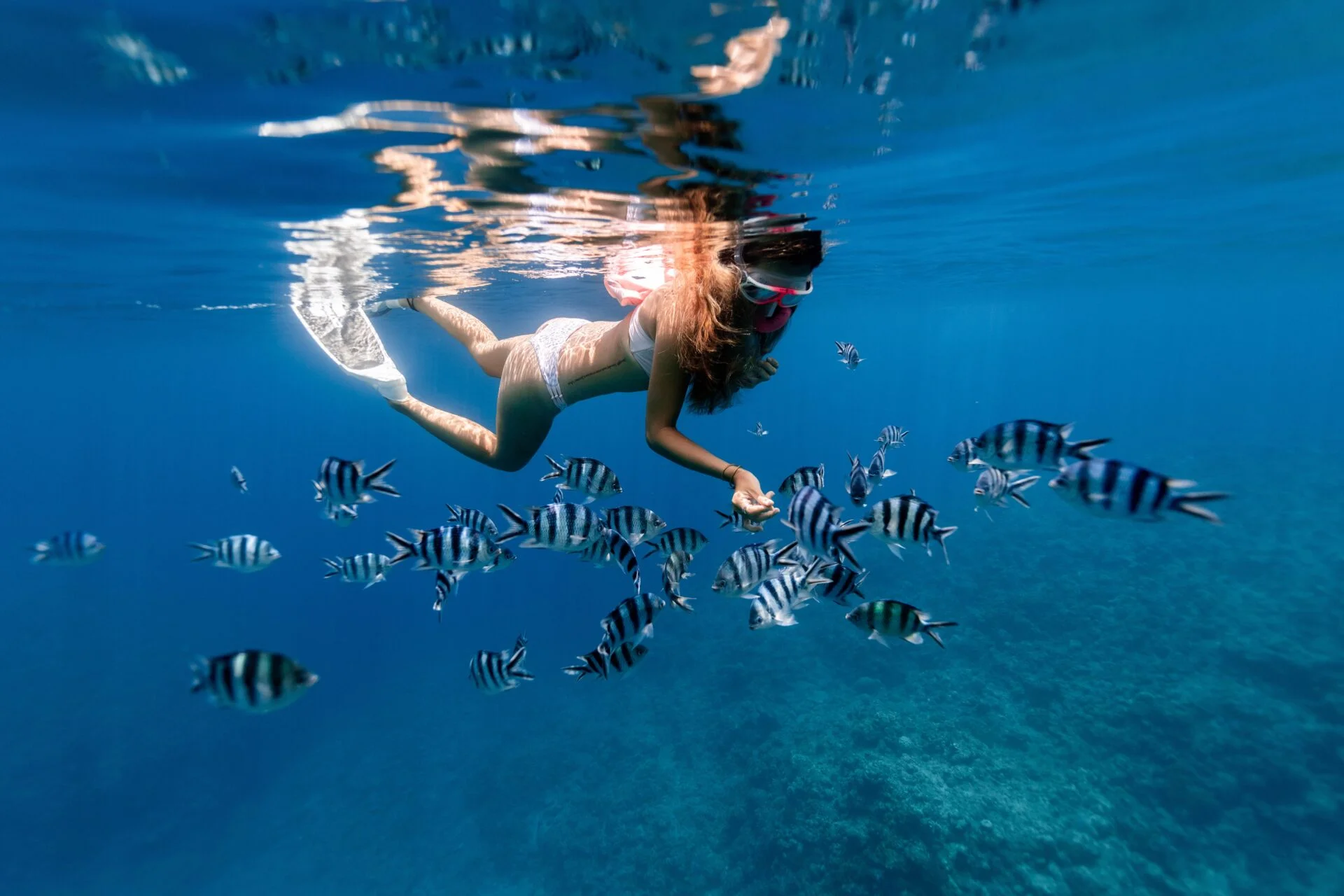 all about snorkeling