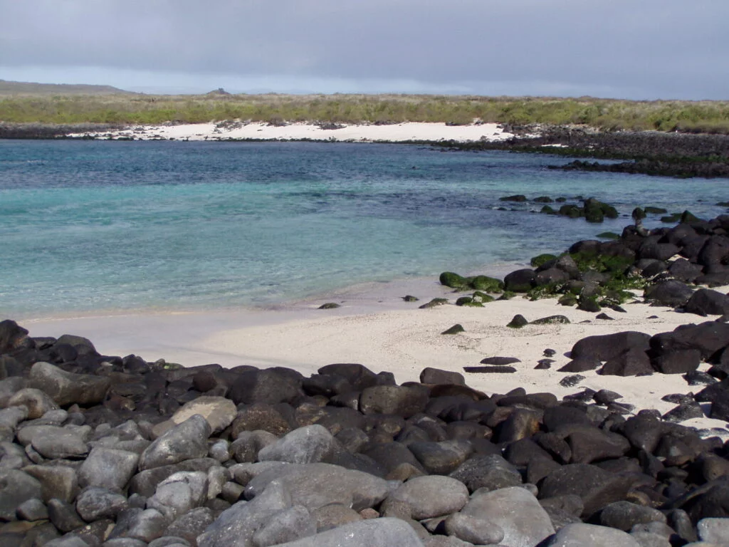 Gardner Bay, Galapagos