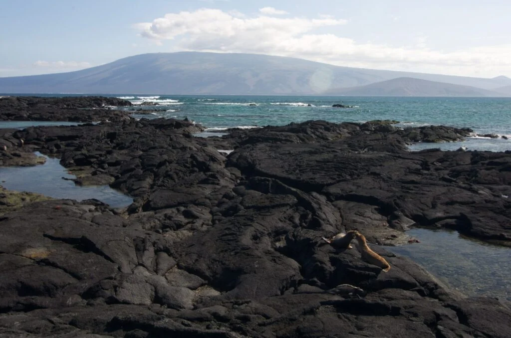 Punta Espinosa, Galapagos