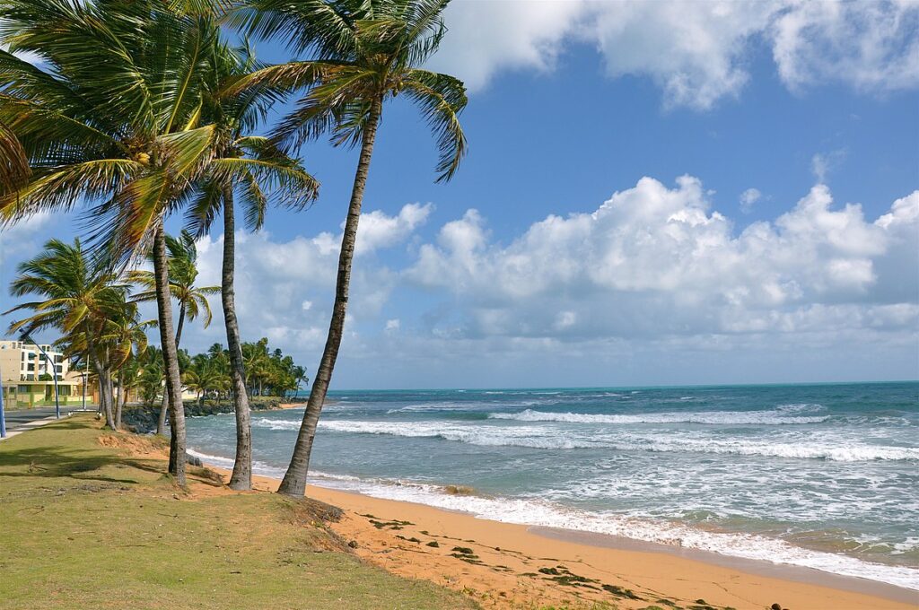 Puerto Rico Snorkeling