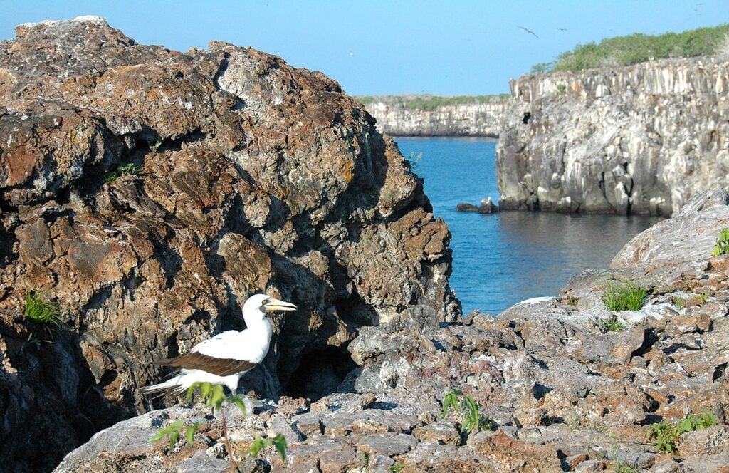 Prince Philip’s Steps, Galapagos