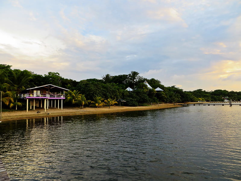 Roatan Snorkeling: Sandy Bay