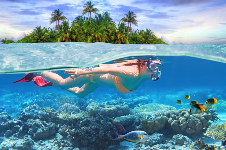 Rotan Snorkeling