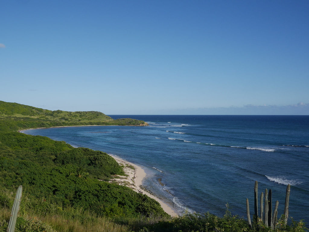 Jack's Bay