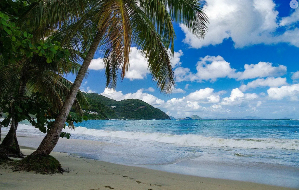 Snorkeling in St Croix