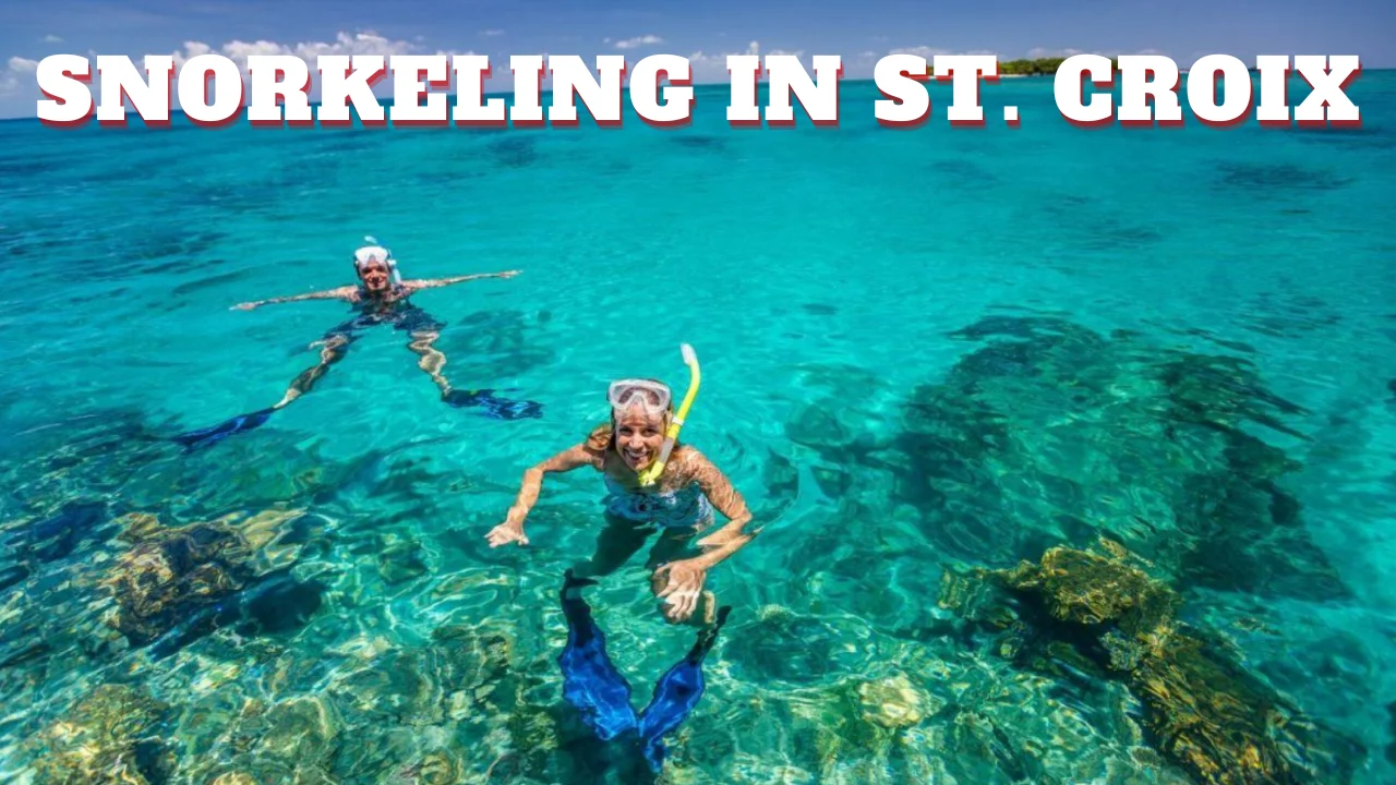 Snorkeling in St Croix