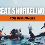 11 Snorkeling Tips for Beginners